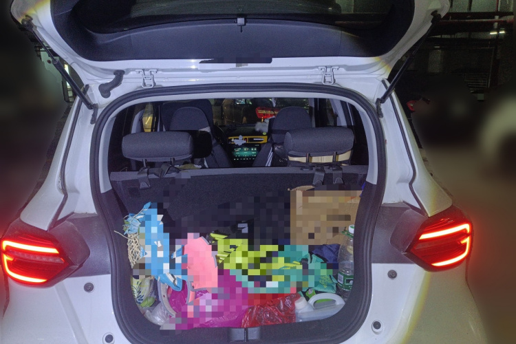 零跑汽车 零跑T03 2021款 400轻享版 三元锂中控内饰23