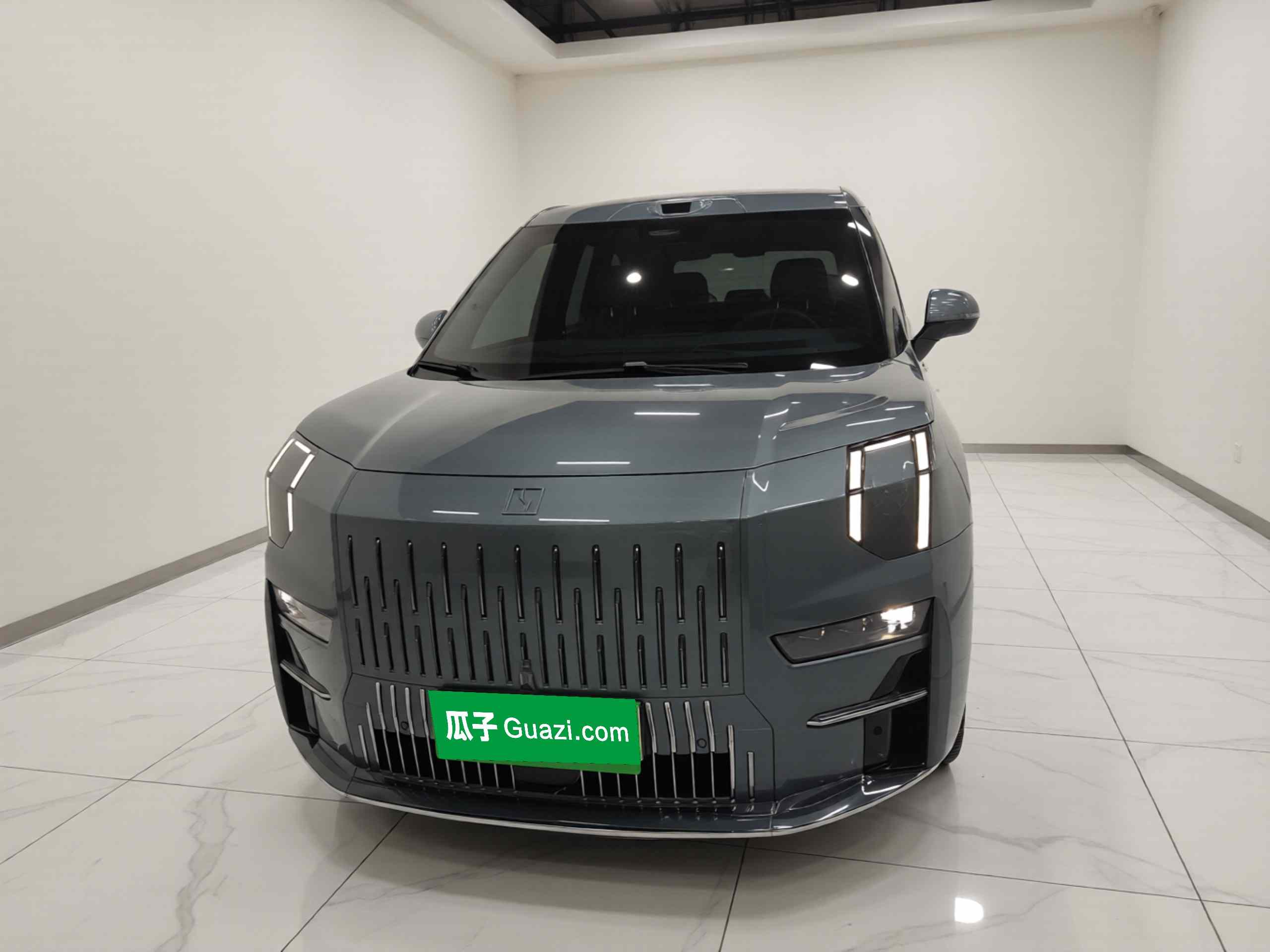 极氪009 2024款 六座行政版四驱 108kWh(1)