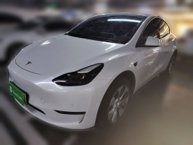 特斯拉 Model Y 2022款 长续航全轮驱动版