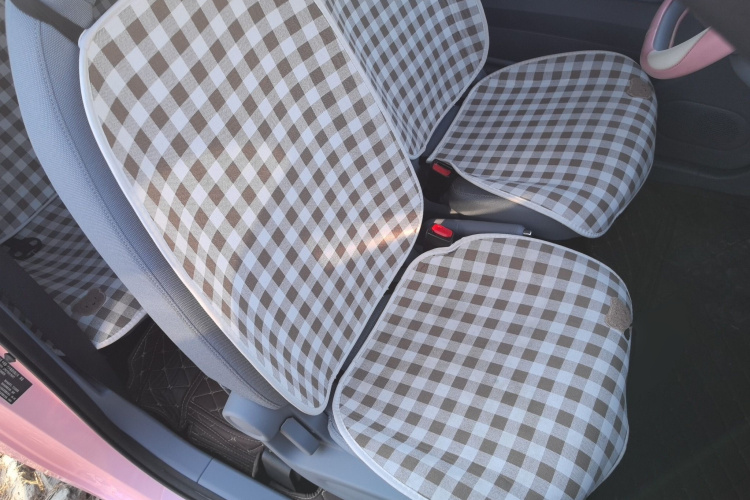 奔腾小马 2025款 222km 灵动马局部细节41