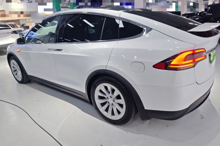 特斯拉 Model X 2020款 长续航升级版车身外观4