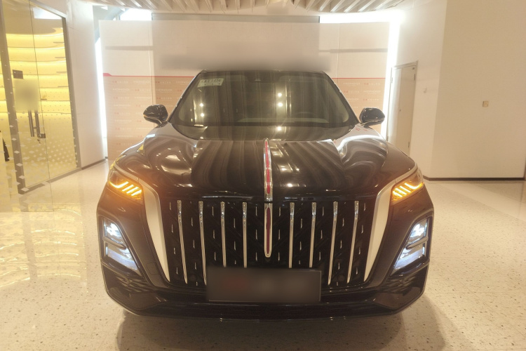 红旗HS5 2025款 2.0T 四驱旗享Pro版车身外观6001