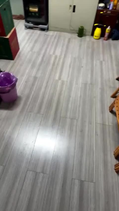 零跑汽车 零跑C11 2021款 智行版510讲解1