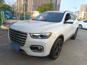 哈弗H6 2020款 2.0GDIT 自动铂金冠军版