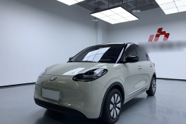 五菱汽车 五菱缤果 2024款 333km 悦享款