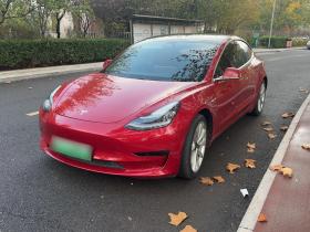 特斯拉 Model 3 2019款 标准续航后驱升级版
