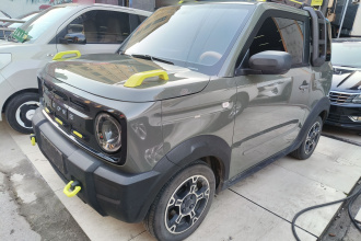 吉利银河 2024款 200km 熊猫骑士