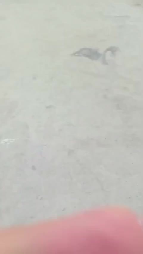 马自达CX-5 2014款 2.0L 自动两驱都市型讲解2