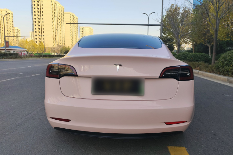 特斯拉 Model 3 2021款 标准续航后驱升级版 3D6车身外观6005
