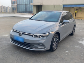 大众 高尔夫 2021款 280TSI DSG Pro