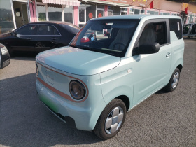 吉利银河 2024款 熊猫mini 200km 耐力熊