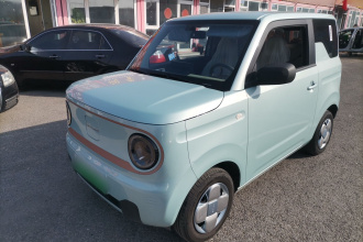 吉利银河 2024款 熊猫mini 200km 耐力熊
