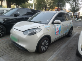 五菱汽车 五菱缤果 2025款 333km 悦享款