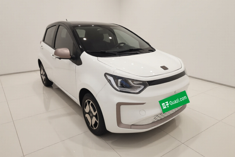 思皓 2022款 花仙子款 四叶草车身外观3