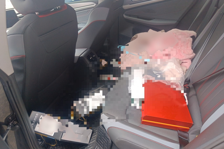 大众 2022款 凌渡L 280TSI DSG酷辣版中控内饰21