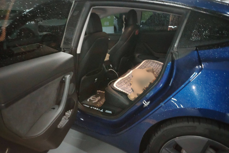 特斯拉 Model 3 2021款 标准续航后驱升级版中控内饰7004