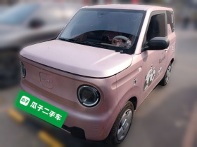 吉利银河 2024款 改款 熊猫mini 200km 龙腾版