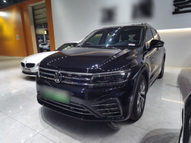 大众 途观L新能源 2021款 430PHEV 插电混动旗舰版