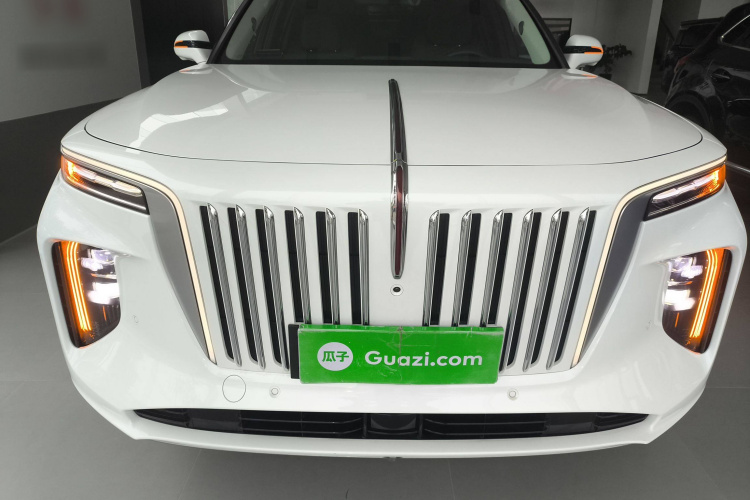 红旗E-HS9 2022款 660km 旗畅版 六座车身外观2