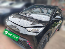 比亚迪 海鸥 2023款 活力版