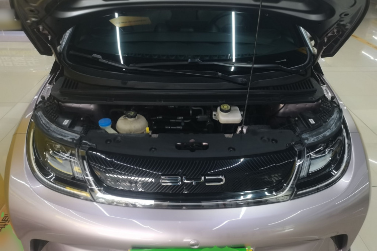 比亚迪 海豚 2021款 401km 骑士版局部细节24