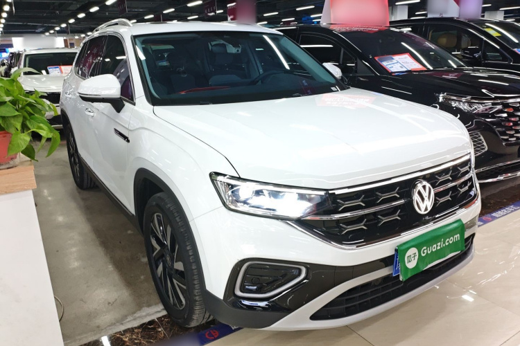 大众 探岳 2024款 300TSI 两驱豪华Plus进阶版车身外观6002