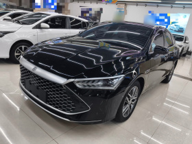 比亚迪 秦PLUS 2023款 冠军版 DM-i 55KM超越型