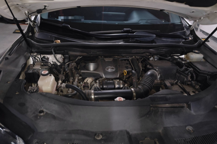 雷克萨斯RX 2016款 300 两驱精英版 国V局部细节24