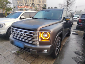 哈弗H9 2024款 2.0T 汽油四驱极境版