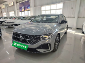 大众 朗逸 2023款 280TSI DSG星空满逸版