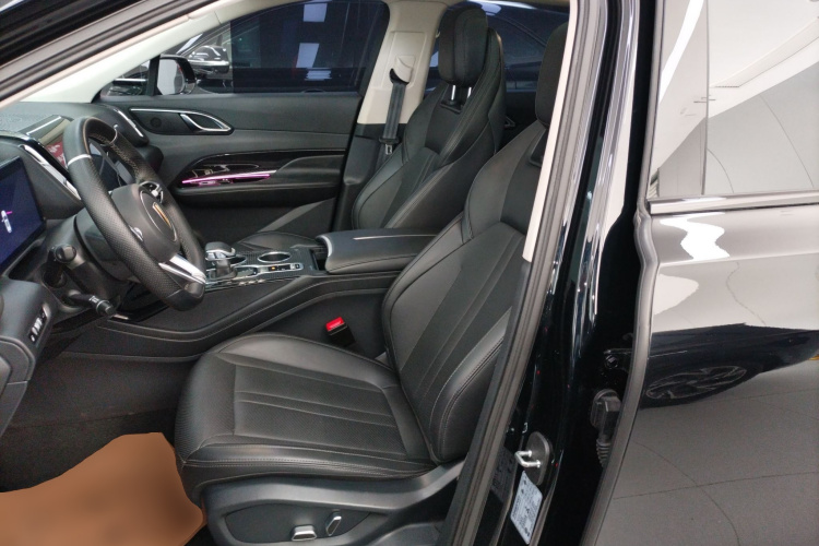 红旗HS3 PHEV 2024款 PHEV 115km 劲为版局部细节19