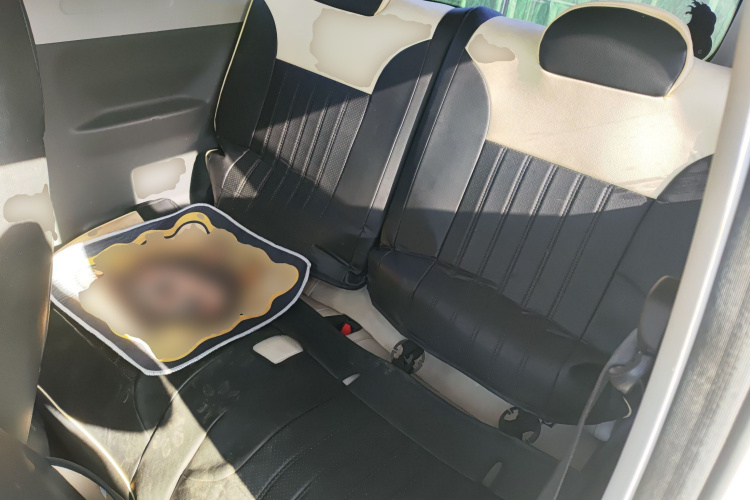 吉利银河 2024款 200km 熊猫骑士中控内饰21