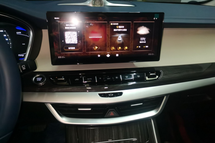 睿蓝汽车 枫叶80v PRO 2022款 舒享型 标准续航版局部细节16