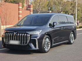 岚图汽车 岚图梦想家 2024款 PHEV 超长续航旗舰版