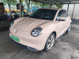 欧拉好猫 2023款 401km标准续航 尊贵型 磷酸铁锂