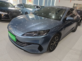 比亚迪 海豹06新能源 2024款 DM-i 80KM尊贵型