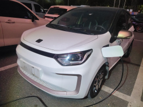 思皓 花仙子 2021款 302km 豪华型 31.4kWh