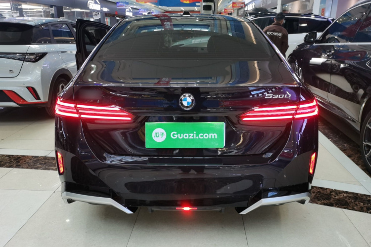 宝马5系 2025款 530Li 领先型 M运动套装车身外观6