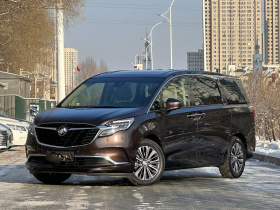 别克GL8 2021款 ES陆尊 653T 豪华型