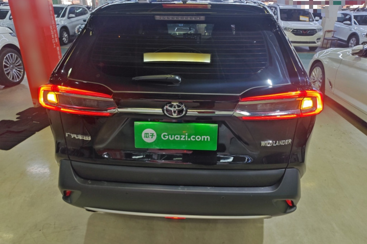 丰田 威兰达 2022款 2.0L CVT两驱豪华PLUS版车身外观6004