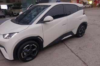 比亚迪 海鸥 2023款 自由版