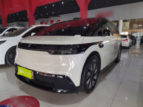 极氪MIX 2025款 长续航智驾版