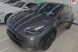 特斯拉 Model Y 2021款 标准续航后驱版