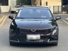 五菱汽车 五菱星光 2023款 70 标准版