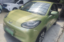 五菱汽车 五菱缤果 2023款 333km 悦享款