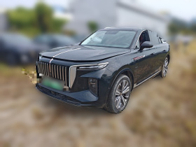 红旗E-HS9 2021款 460km 旗享版 六座