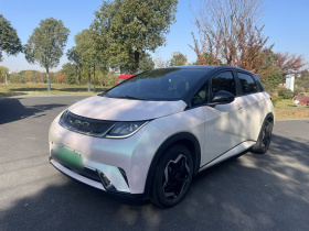 比亚迪 海豚 2021款 405km 时尚版