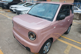 吉利银河 2024款 改款 熊猫mini 200km 龙腾版