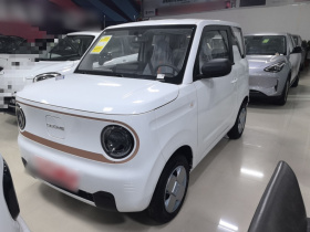 吉利银河 2024款 熊猫mini 200km 耐力熊