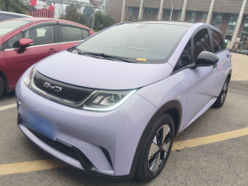 比亚迪 海豚 2023款 420km 时尚版